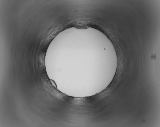 X0000115720240200912031558