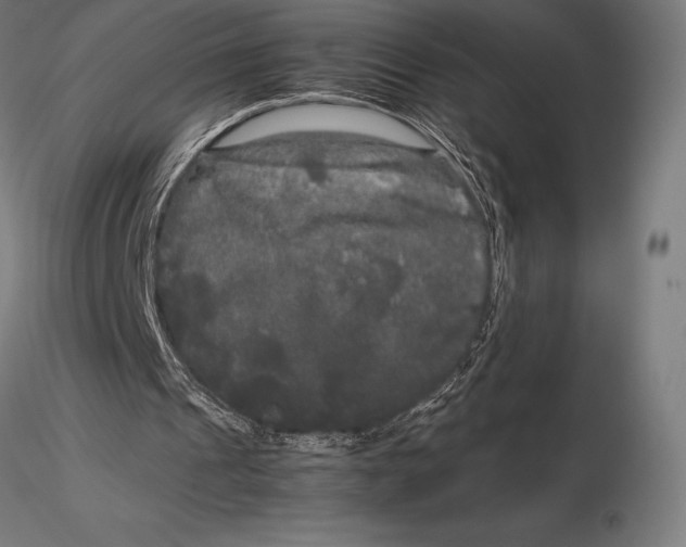 X0000115720241200912031557