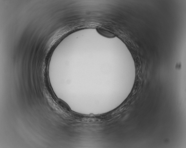 X0000115720242200912031557