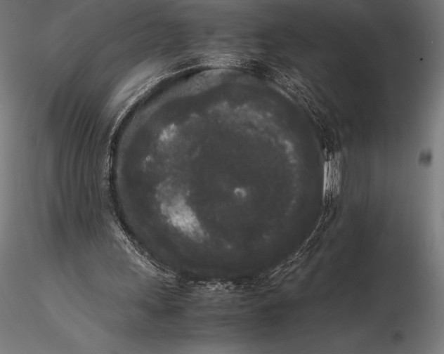 X0000115720243200912031557