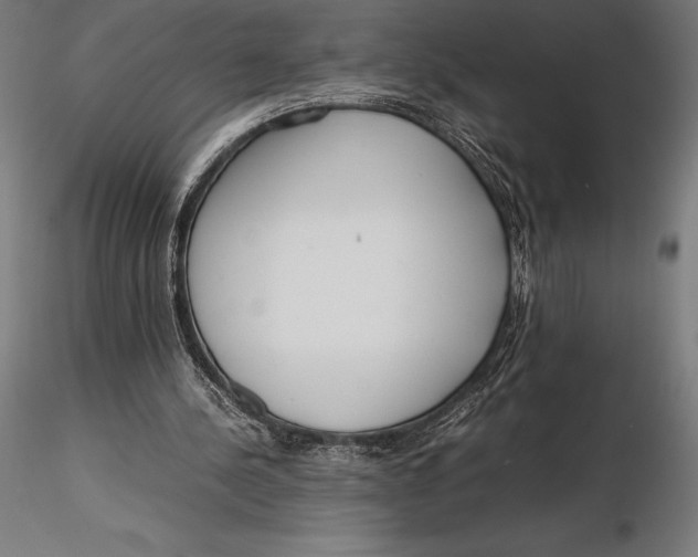 X0000115720244200912031557