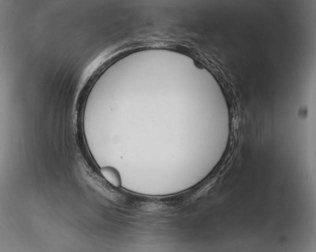 X0000115720246200912031557