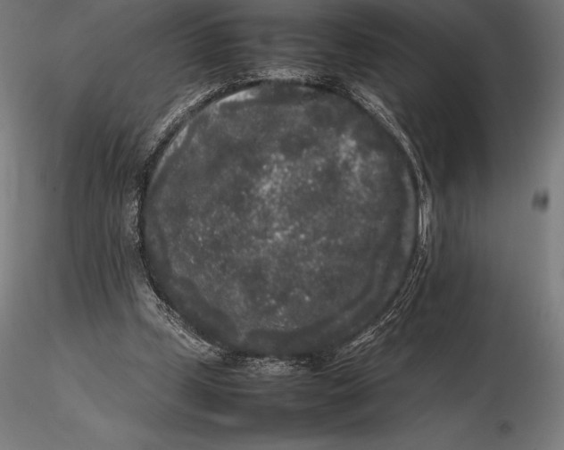 X0000115720249200912031557