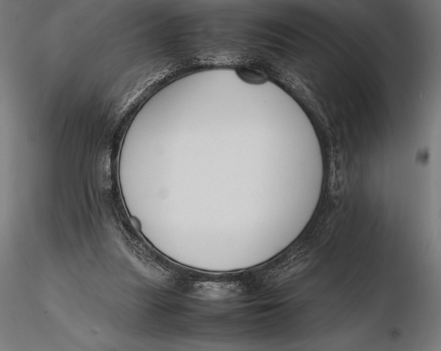 X0000115720251200912031557