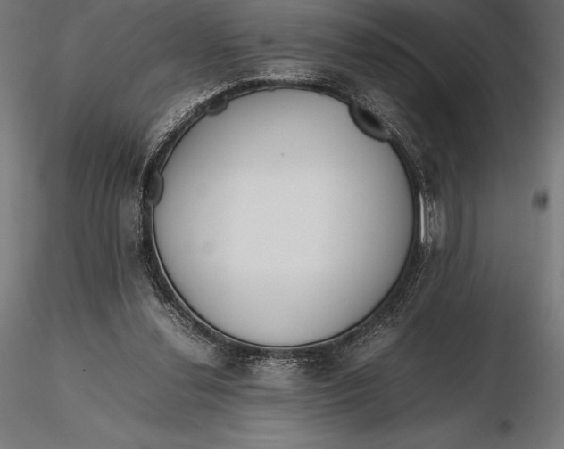 X0000115720252200912031557