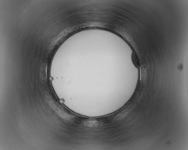 X0000115720253200912031557