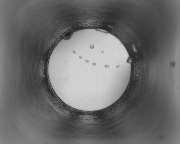 X0000115720255200912031557
