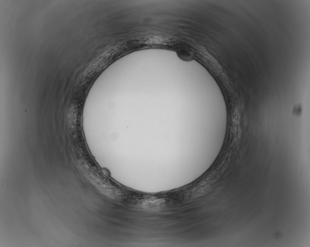X0000115720257200912031557