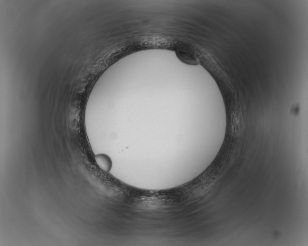 X0000115720259200912031557