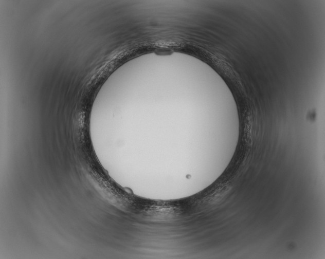 X0000115720260200912031557