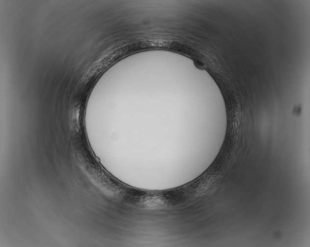 X0000115720262200912031557