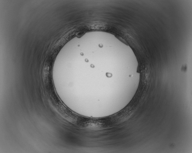 X0000115720263200912031557