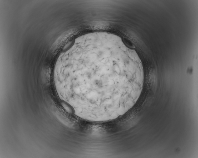 X0000115720264200912031557