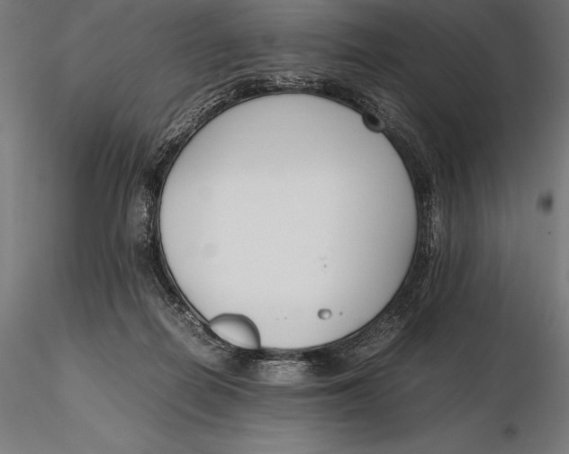X0000115720266200912031557