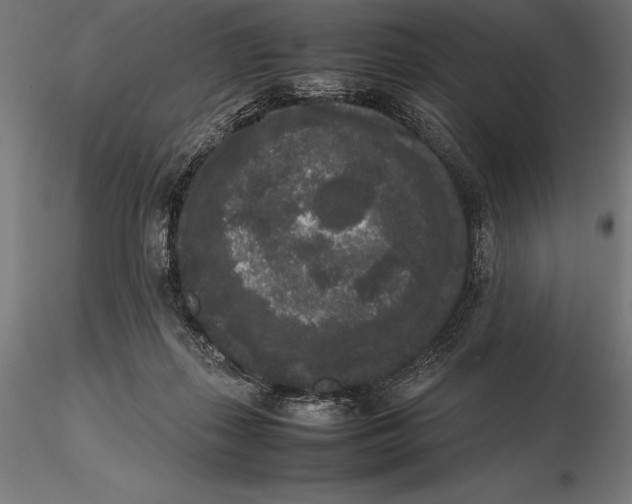 X0000115720267200912031557