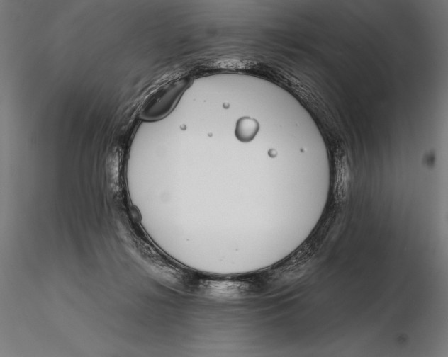 X0000115720268200912031557