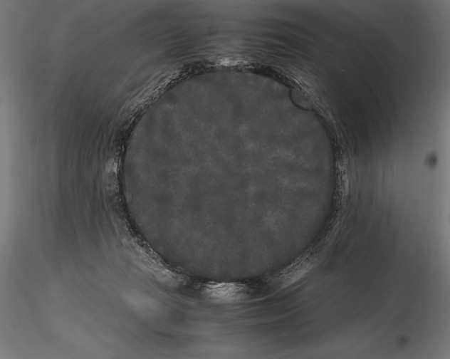 X0000115720269200912031557
