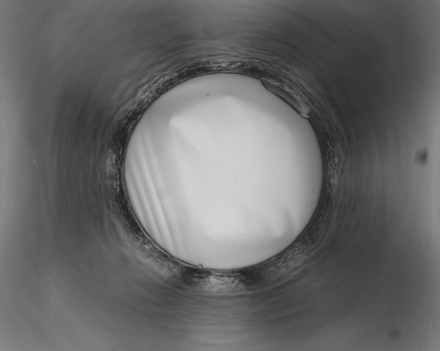 X0000115720270200912031557