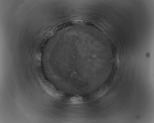 X0000115720271200912031557