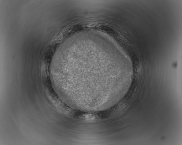 X0000115720272200912031557