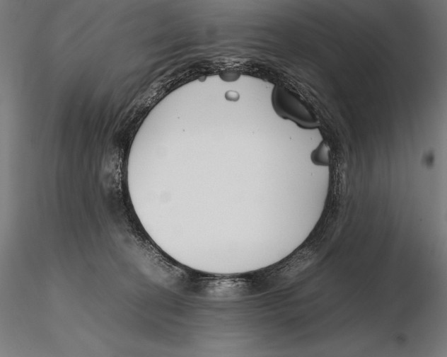 X0000115720274200912031557