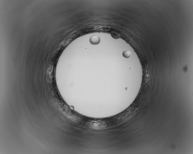X0000115720275200912031557