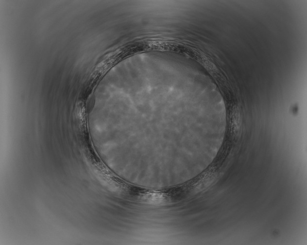 X0000115720276200912031557