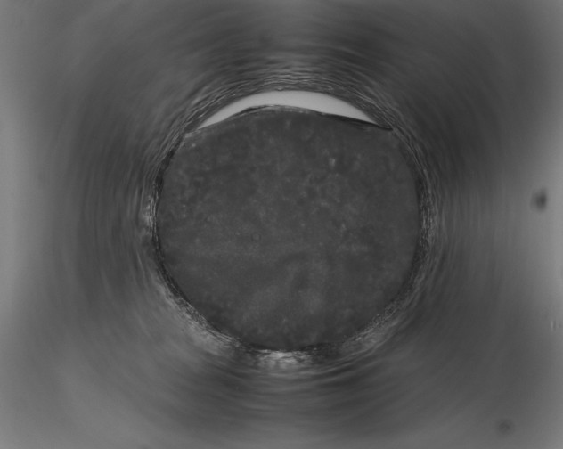 X0000115720277200912031557