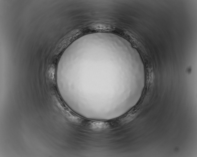 X0000115720281200912031558