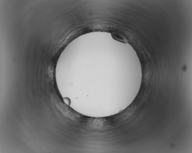 X0000115720282200912031558