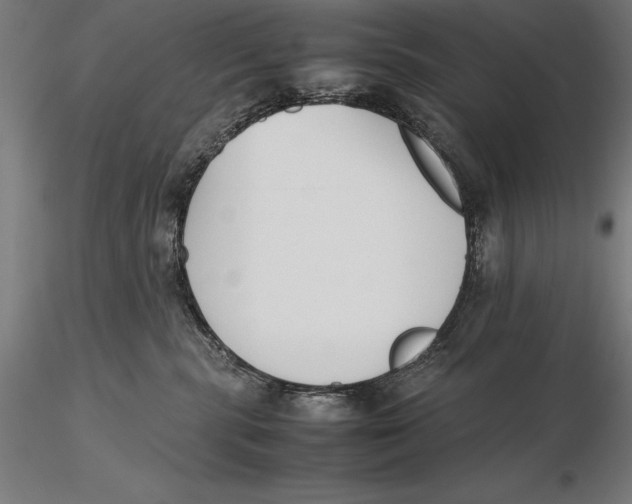 X0000115720283200912031558
