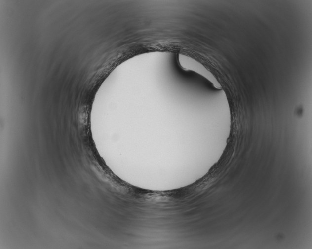 X0000115720284200912031558