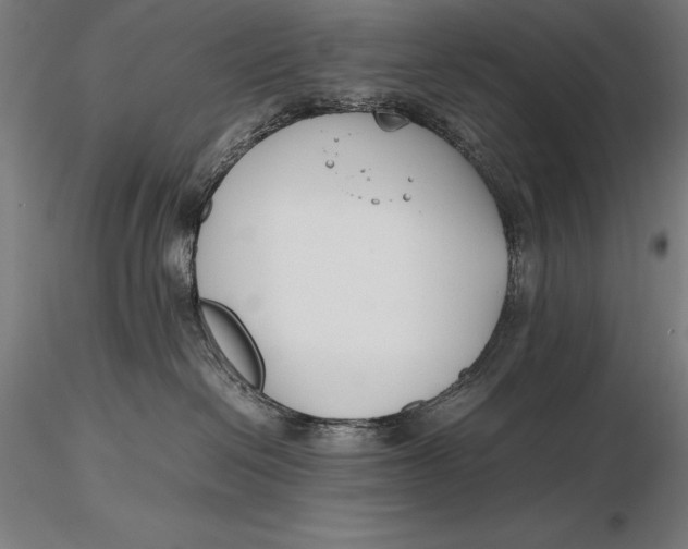 X0000115720286200912031558