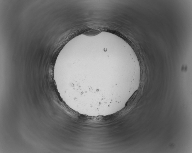 X0000115720288200912031558
