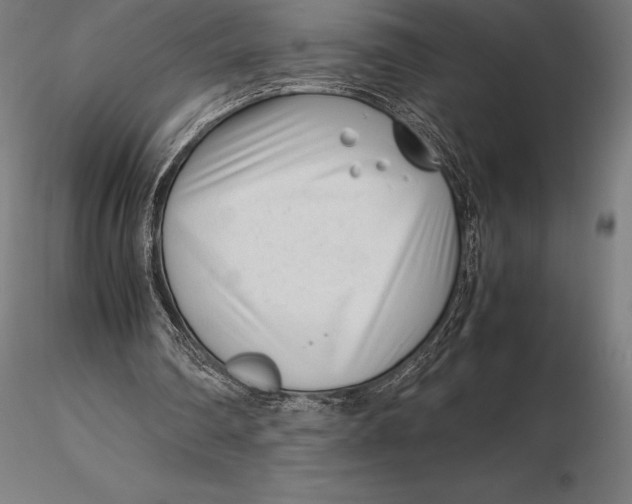 X0000115720290200912031557