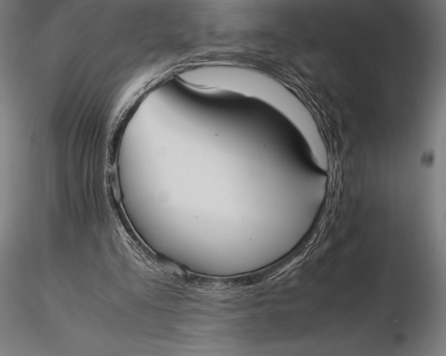 X0000115720293200912031557