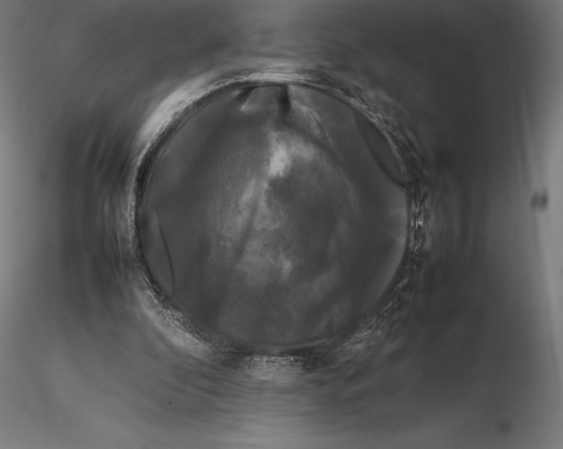 X0000115720296200912031557