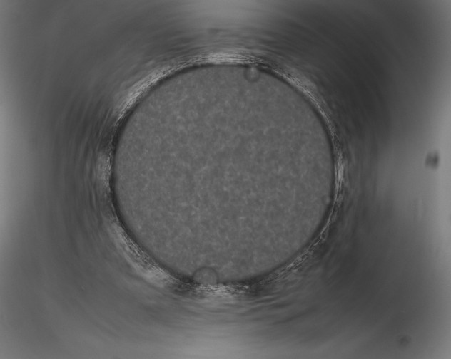 X0000115720297200912031556