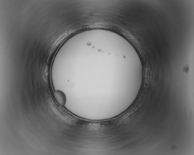 X0000115720298200912031556