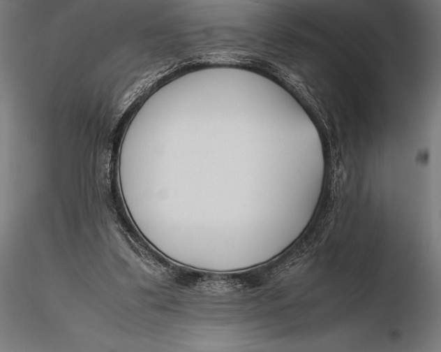 X0000115720299200912031556