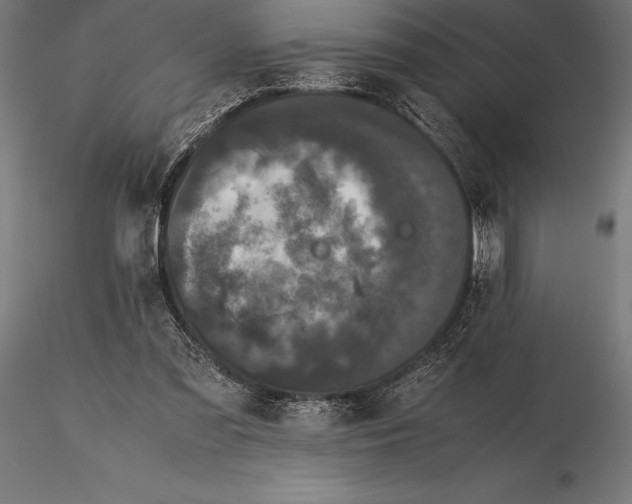 X0000115720301200912031556