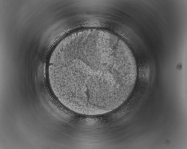 X0000115720302200912031556
