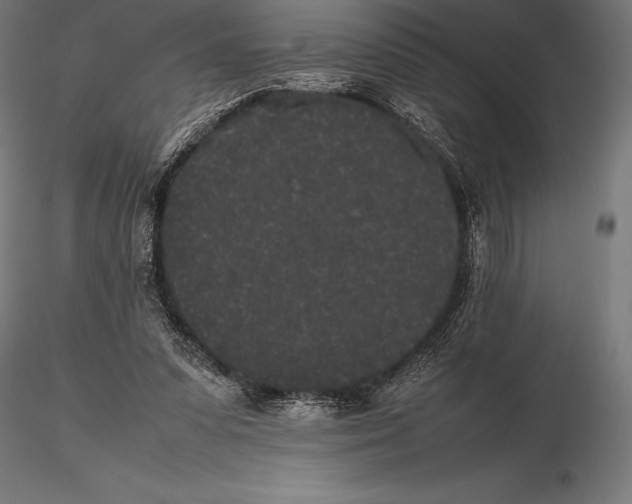 X0000115720303200912031556