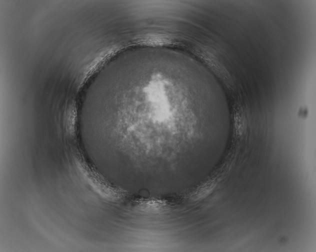 X0000115720304200912031556
