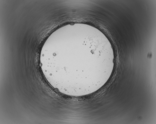 X0000115720305200912031556