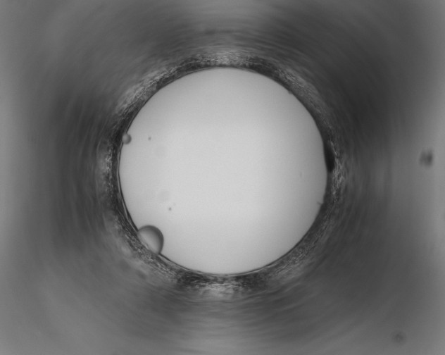 X0000115720306200912031556