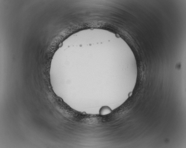 X0000115720307200912031556