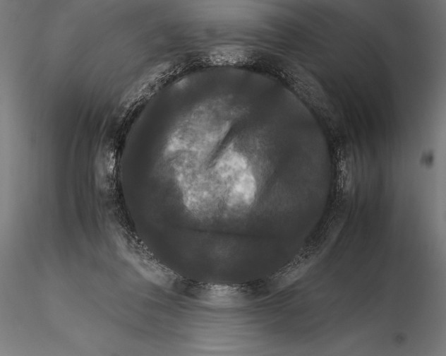 X0000115720308200912031556