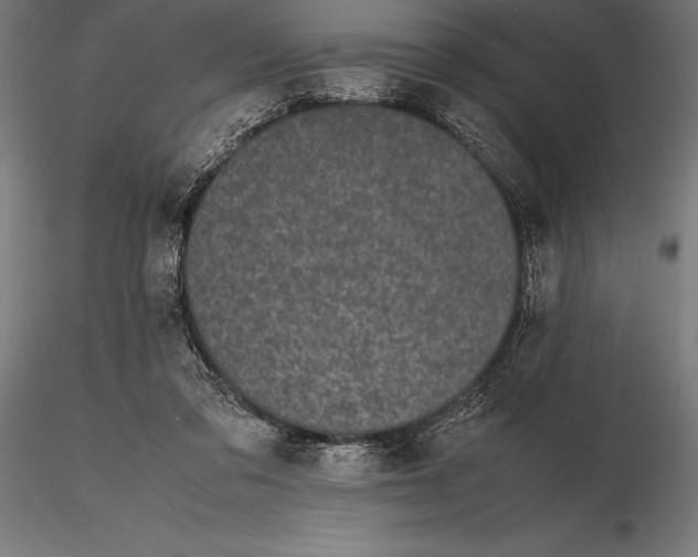 X0000115720309200912031556