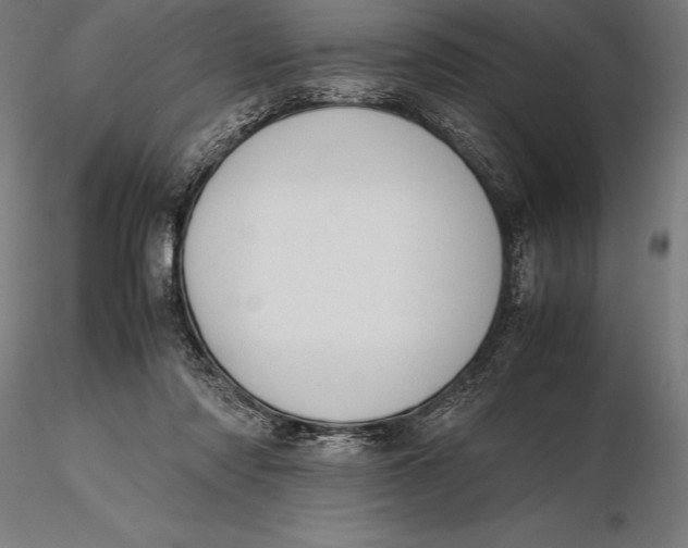 X0000115720310200912031556